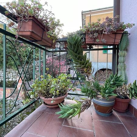 Tra Alpi Apuane E Cinque Terre.. Casetta Renata! Villa Valeriano Lunense Exterior foto