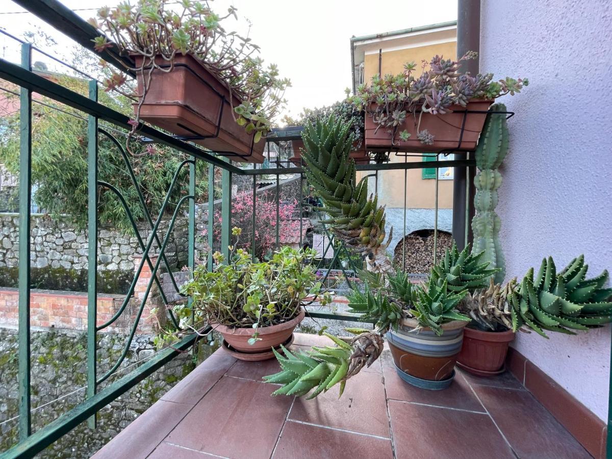 Tra Alpi Apuane E Cinque Terre.. Casetta Renata! Villa Valeriano Lunense Exterior foto